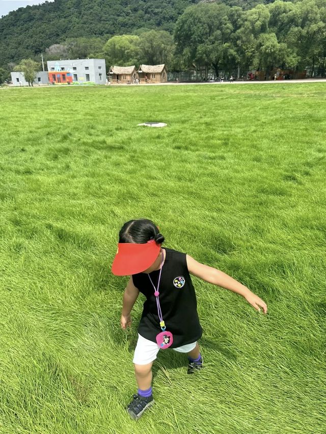 沙田阿勒泰｜雲端草原一日遊。