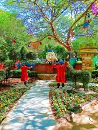 Hunter Valley Garden 猎人谷花園。