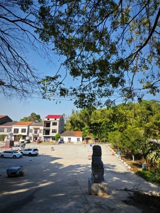 Explore Yanglin Mountain.