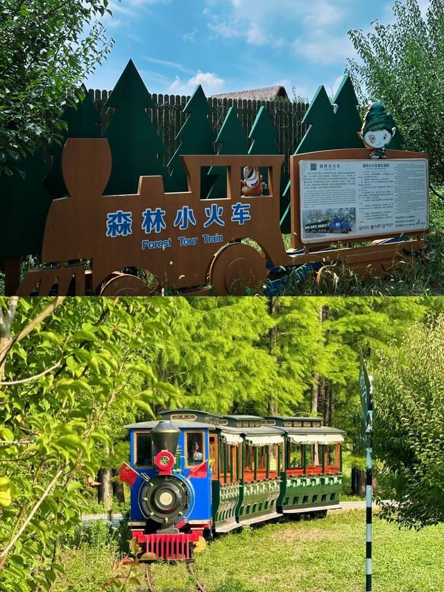 水上森林公園，您沒有來，那可就虧大了。