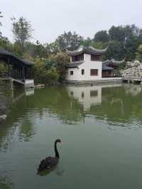 【山東臨清】宛園自駕遊。。