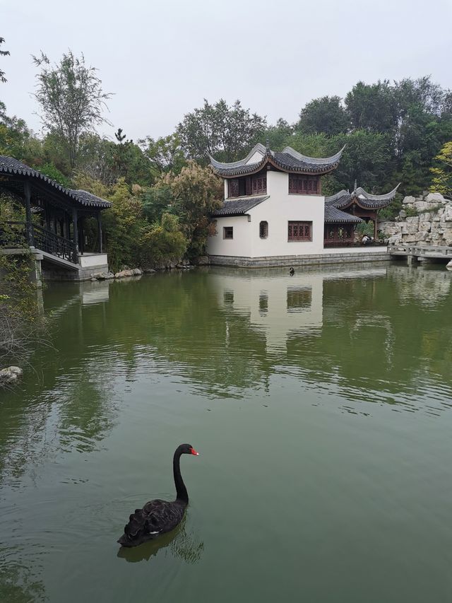 【山東臨清】宛園自駕遊。。