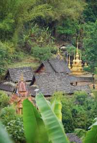 【去不膩的雲南】在景邁山很悠然，在普洱很鬆弛。