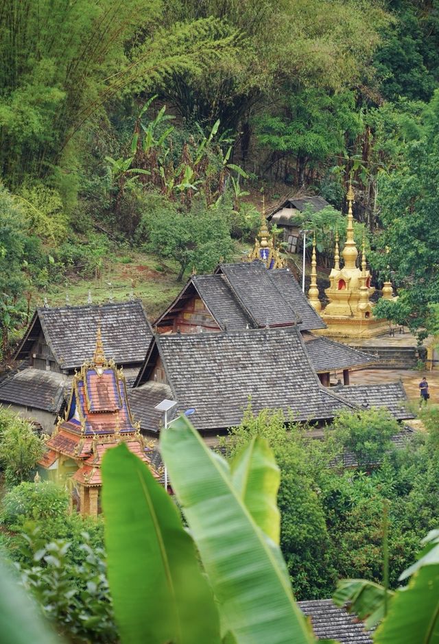 【去不膩的雲南】在景邁山很悠然，在普洱很鬆弛。