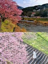 靜岡。