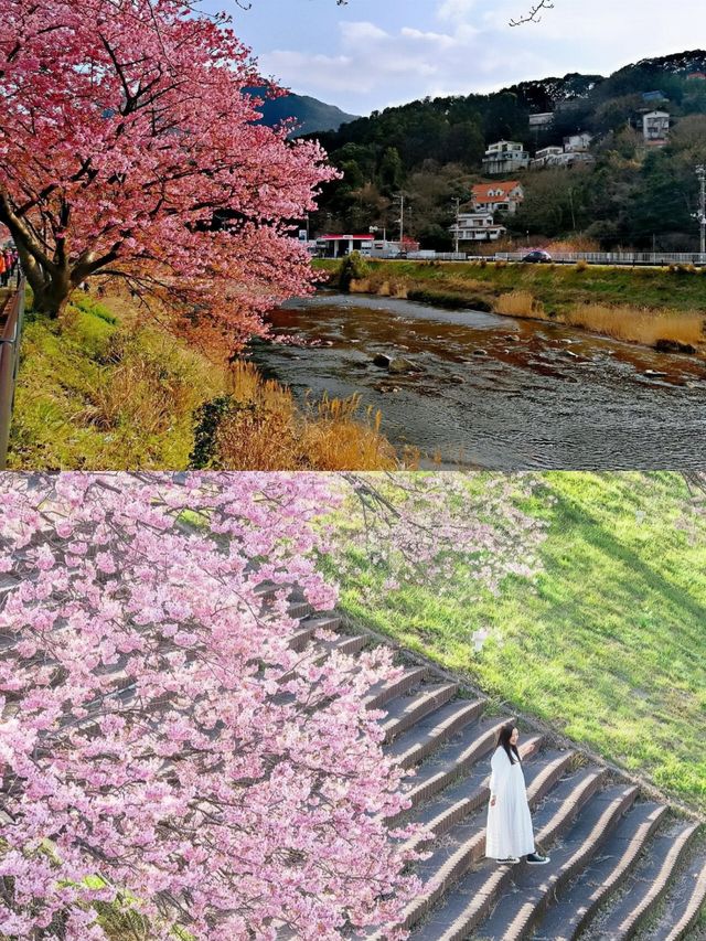 靜岡。