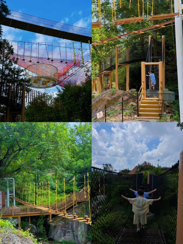 樂清新晉主題樂園｜下一個遛娃天花板。