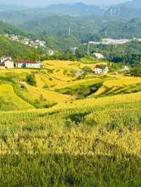 固原梯田｜觸摸大地指紋，邂逅最美梯田。