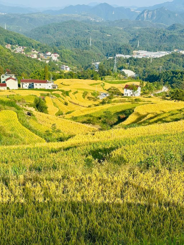 固原梯田｜觸摸大地指紋，邂逅最美梯田。