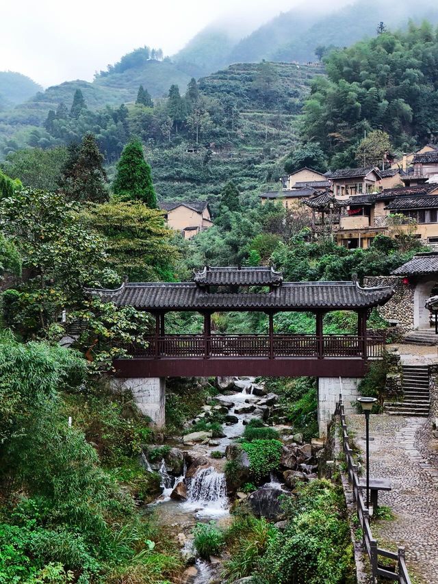 人生建議 不要錯過十月的梯田瀑布，美得令人落淚。