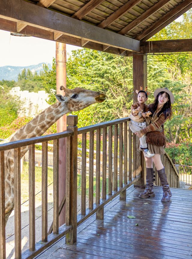 聽勸！淡季去青島野生動物世界可太幸福了。