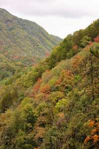 被秋天的光霧山美哭了！光霧山攻略。