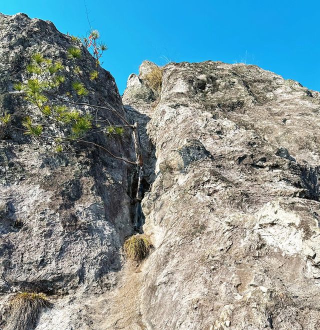 徒手攀爬峭壁，驚險刺激的飛龍山徒步。
