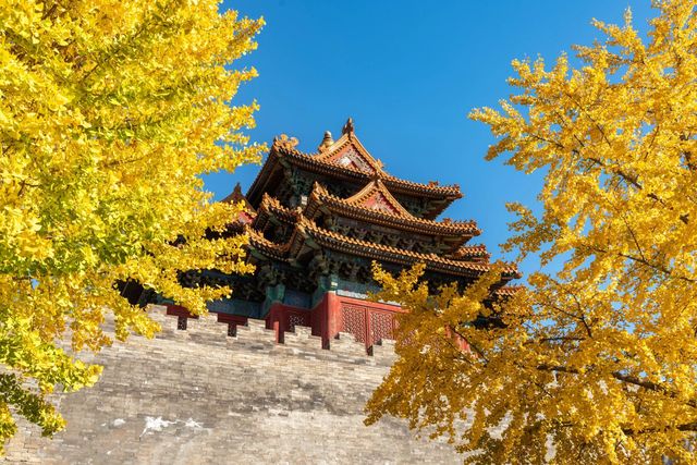 說真的，總要在秋天來一次北京吧！。