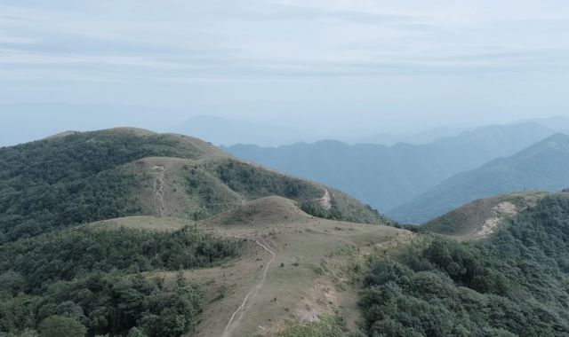 廣東一抹秋天竟都是綠色。