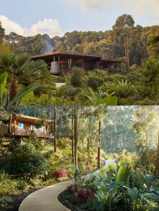 Rwanda Gorilla Hotel | A Dreamy Retreat in the Heart of the Jungle
