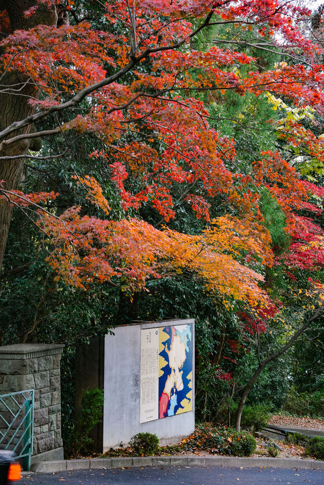 京都之另闢蹊徑｜楓葉花園大山崎山莊美術館。