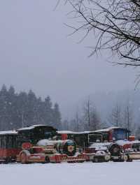 下雪的重慶仙女山童話裡的雪國，簡直就是天堂！。