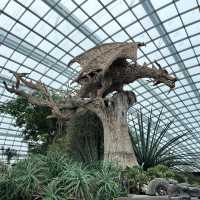 Explore the beauty of Flowers Dome of Singapore Garden by the bay