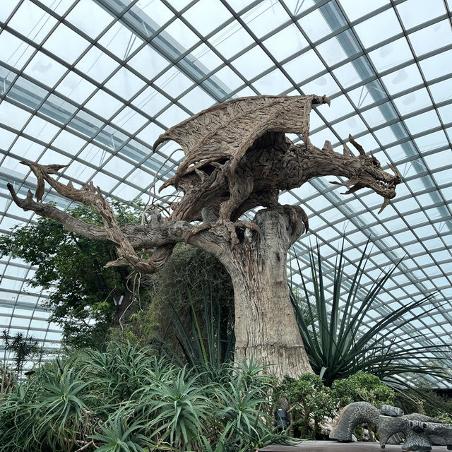 Explore the beauty of Flowers Dome of Singapore Garden by the bay