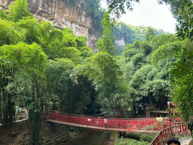 川西竹海｜翠綠仙境的自然之旅。