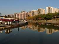 遊上海：桃浦中央綠地公園。