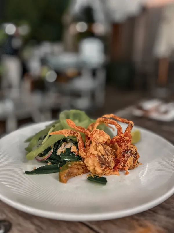 漫步在美食的花園裡：小白鷺餐廳的独特魅力