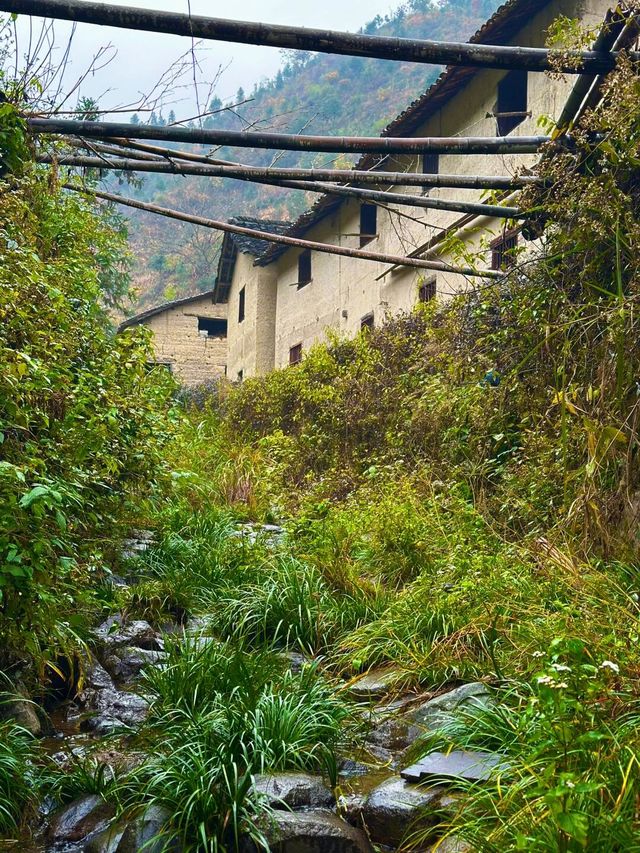 武義山下鮑村，真正的避世秘境村落