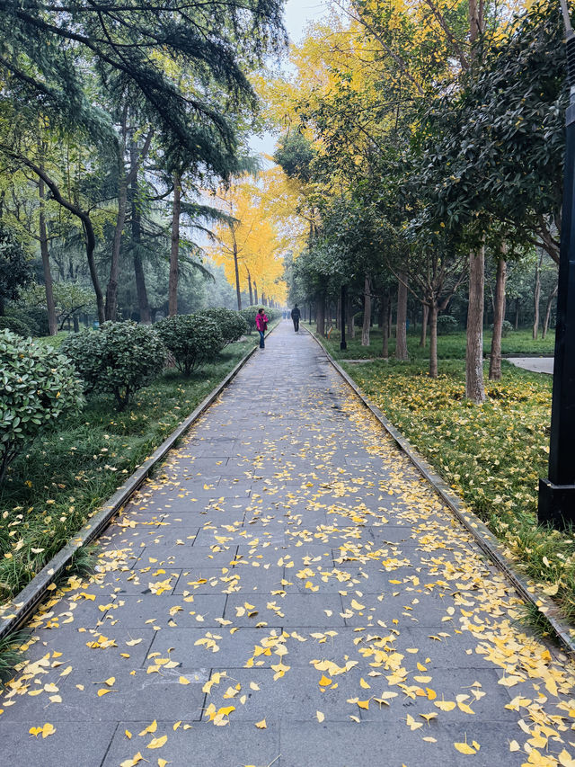 西安~唐城牆遺址公園秋景