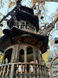 臨沂費縣叢柏庵，山寺清幽，來者皆誠！