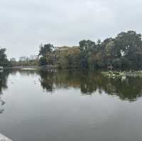 2 days in Kunming, Yunnan