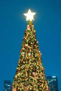 不是香港!是重慶!最孤獨的聖誕樹美到封神