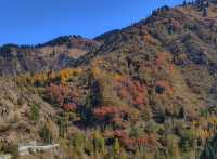 Almaty's Must-Visit Shymbulak Mountain Cable Car with Direct Bus Access
