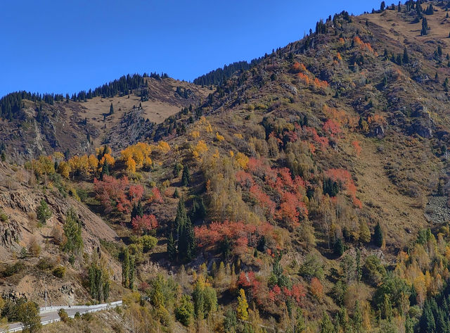 Almaty's Must-Visit Shymbulak Mountain Cable Car with Direct Bus Access