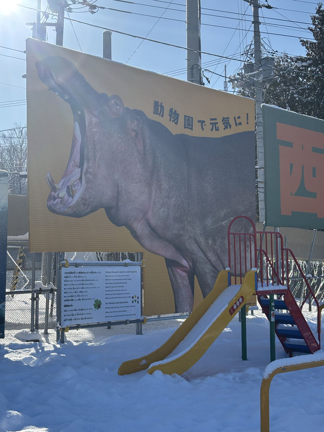 旭川 | 🐧可愛動物園&周邊好吃拉麵店🍜