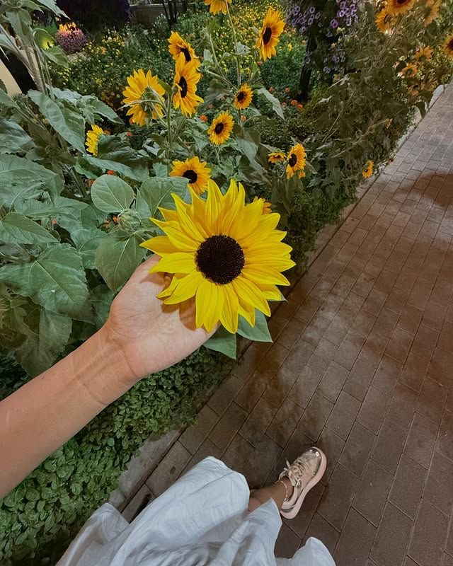 塔爾薩植物園：四季花海的靜謐天堂