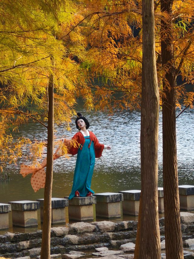 在深圳找到拍照打卡的絕美落羽杉森林 在深圳找到拍照打卡的絕美落羽杉森林