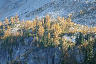 Step into the fairy tale world of autumn, Maple Pass Golden Pine Scenic Tour