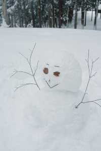 徒步林海雪原我又發現了一個日本秘境