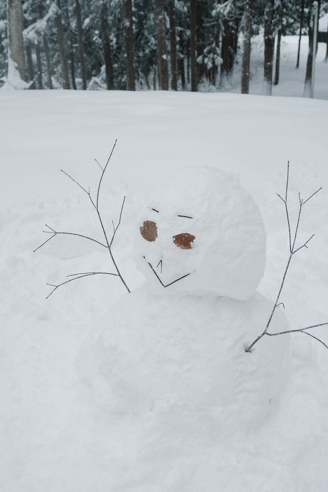 徒步林海雪原我又發現了一個日本秘境
