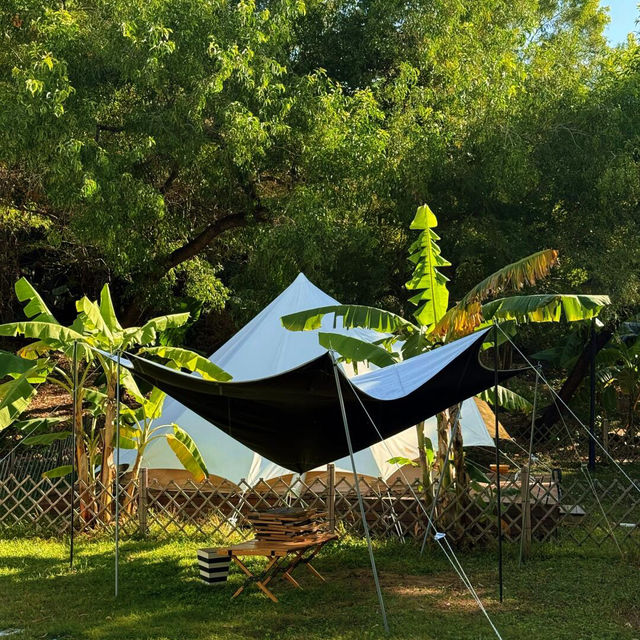 🌴深圳度假 | 誤以為到了西雙版納🌴