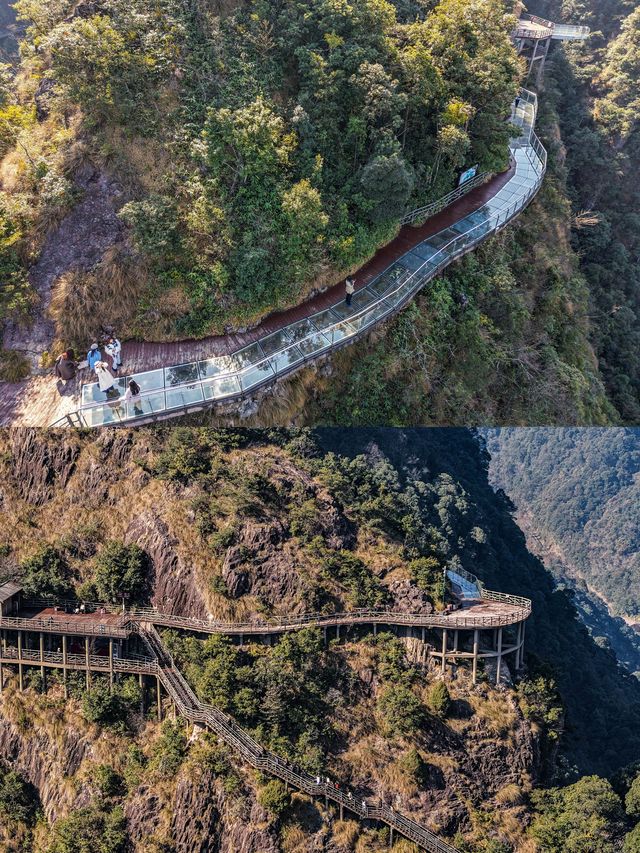 三百山景區春節遊玩攻略