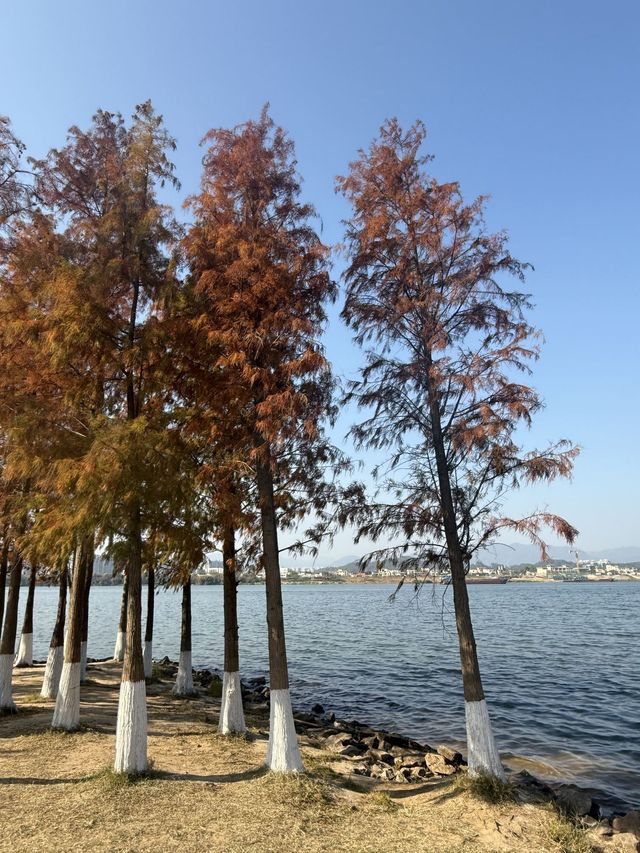 清遠2日遊 玩轉全城的秘密攻略