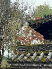 劍門關可以免門票啦