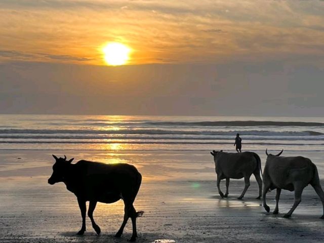 丹絨亞路海灘的夕陽