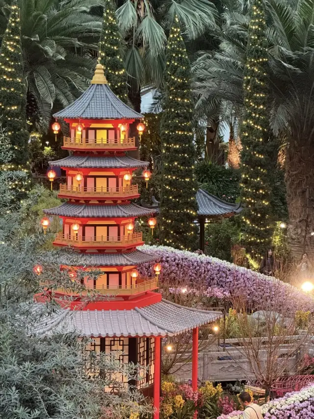 Starlight blooms, a realm above the clouds