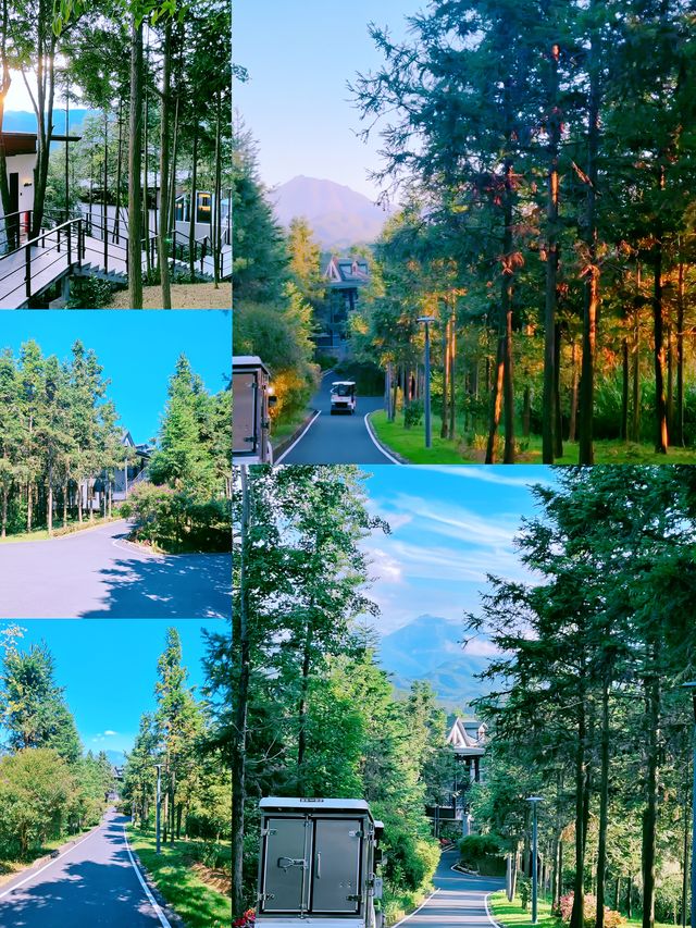 年度新寵，爽翻咗，嚟咗仲想再嚟，走都唔想走。