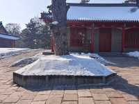 歷史與自然於此完美交融~~東陵公園