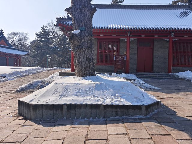 歷史與自然於此完美交融~~東陵公園