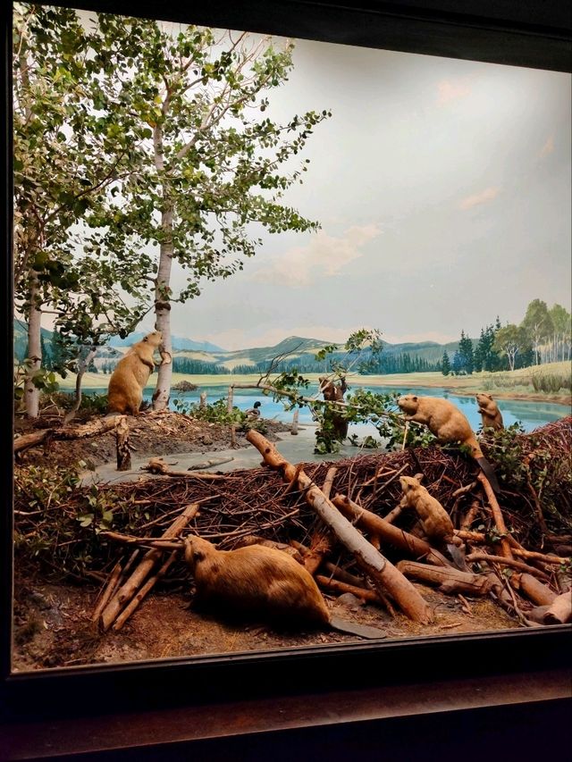 Summer Visit to the Natural History Museum of Los Angeles 🦖🌞
